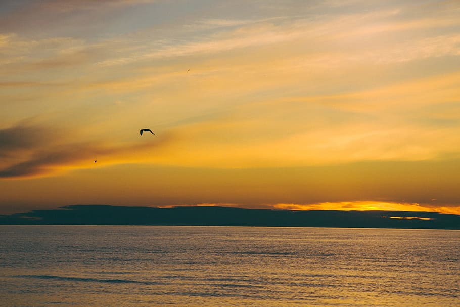 Sonnenuntergang, Landschaft, Natur, Meer, Himmel, Dämmerung, Sommer-, szenen, wolke - himmel, Wasser, draußen, Sonnenlicht, orange Farbe, Schönheit in der Natur, Sonne, Sonnenaufgang - Morgendämmerung, fliegend, Tierthemen, Szenen - Natur, Tier, Tiere in freier Wildbahn, Wirbeltier, Vogel, ruhige Szene, Ruhe, Tierwelt, in der Luft, ein Tier, keine Leute, Horizont über Wasser, 1080P