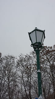 winter, lantern, snow, white, black, cold, branches, black and white, snowy, city, wintry, snow landscape, new zealand, winter magic, winter dream, street Light, electric Lamp, outdoors, lighting equipment, tree, street, sky, low angle view, no people, nature, bare tree, plant, clear sky, branch, dusk, copy space, day, architecture, cold temperature, light, 2K, CC0, public domain, royalty free