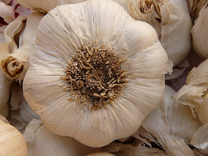 Ail, tranchant, aromatique, tubercule, substantiel, odeur, plante médicinale, des légumes, blanc, aliments, pimenter, manger, herbe, fraîcheur, légume, Nourriture et boisson, bien-être, fermer, ingrédient, alimentation saine, personne, nature morte, nourriture crue, bulbe d'ail, vue grand angle, plante, à l'intérieur, plein cadre, oignon, croissance, 2K, CC0, domaine public, libre de droits