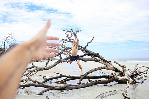 man, jumping, driftwood, sea, clouds, branches, hands, people, beach, nature, sky, male, trees, happy, tattoo, sand, human hand, human body part, one person, outdoors, day, adult, winter, hand, tree, bare tree, plant, tranquility, finger, branch, beauty in nature, human finger, cloud - sky, body part, scenics - nature, land, tranquil scene, dead plant, 2K, CC0, public domain, royalty free