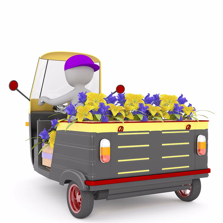 rosa, blau, decoració de flors, mascles, Model 3D, aïllat, 3d, model, cos sencer, blanc, 3d home, mascle blanc, automàtic, flors, tuktuk, tuk-tuk, lliurament, transport, fons blanc, conduir, vehicle terrestre, cotxe, carretera, tir de l'estudi, adult, gent, a l'aire lliure, manera de transport, automòbil, tallar, cap gent, flor, multicolor, groc, porpra, viatjar, globus, naturalesa, planta amb flors, carrer, joguina, 8K