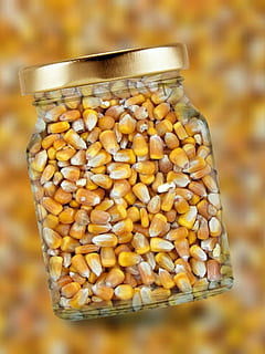 corn, glass, lid, corn kernels, food, seed, yellow, food and drink, close-up, container, indoors, large group of objects, studio shot, no people, freshness, abundance, crop, transparent, wellbeing, glass - material, healthy eating, ingredient, jar, snack, 1080P, CC0, public domain, royalty free