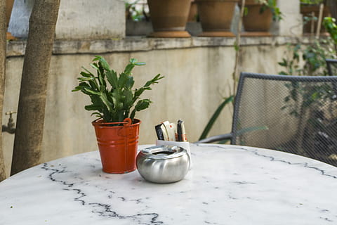 verd, fulles, marró, olla, gris, taula, planta, cub de llauna, conte, configuració de la taula, tapa de taula, marbre, planta en test, cap gent, dia, menjar i beguda, naturalesa, contenidor, seient, Saler, creixement, menjar, a l'aire lliure, condiment, coctelera de pebre, pebre - condiment, equipament per a la llar, absència, centrar-se en primer pla, sal - condiment, test de flor, vidre, 5K, CC0, domini públic, lliure de regalies