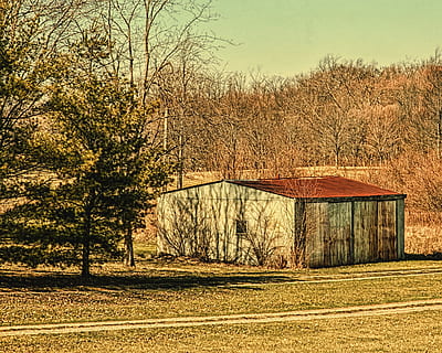 granero, rústico, graneros, Ohio, arte digital, rural, escénico, país, campo, paisaje, cobertizo, cobertizos, granja, granjas, agricultura, agrícola, casa de Campo, champaign, condado, americana, foto, fotografía, estructura, estructuras, Sturgell, William Sturgell, Bill Sturgell, histórico, decoración del hogar, edificios, nubes, cielo, árbol, arboles, nublado, malas hierbas, condado de champaign, urbana, planta, tierra, nadie, naturaleza, arquitectura, estructura construida, árbol desnudo, exterior del edificio, día, tranquilidad, edificio agricola, casa, escena tranquila, edificio, ambiente, belleza en la naturaleza, al aire libre, cabina, cabaña, 2K, CC0, dominio público, libre de derechos