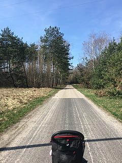 vej, forår, træ, natur, transportmidler, udendørs, asfalt, Skov, plante, retning, dag, vejen frem, transportform, land køretøj, sollys, skilt, himmel, gade, rigtige mennesker, faldende perspektiv, cykel, by, ridning, 4K, CC0, offentligt domæne, royaltyfrie