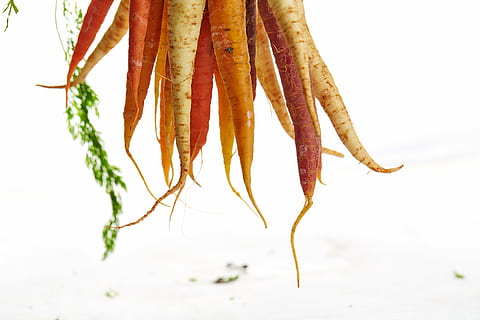 zanahorias y rábanos, naranja, zanahorias, tiempo de día, Zanahoria, vegetal, raíz, hoja, arco iris, tubérculo, verdura de raíz, agricultura, granja, crecer, verde, rojo, blanco, comida y bebida, comida, frescura, bienestar, alimentación saludable, de cerca, nadie, Fondo blanco, alimentos crudos, foto de estudio, colgando, adentro, orgánico, naturaleza muerta, color naranja, Mariscos, separar, 5K, CC0, dominio público, libre de derechos