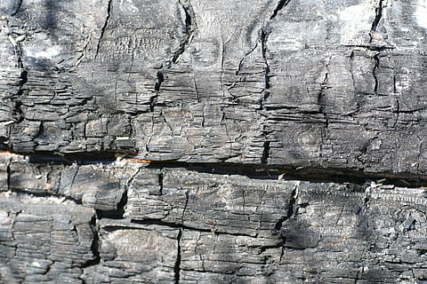carbonitzats, arbre, material, negre, textura, fons, marc complet, patró, aspre, material de fusta, cap gent, primer pla, dia, a l'aire lliure, naturalesa, resistent, patró natural, tronc de l'arbre, tronc, esquerdat, planta, llum solar, vell, escorça, efecte texturat, 1080P, CC0, domini públic, lliure de regalies