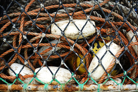 pescar, equipament, net, flotar, corda, captura, pescador, nus, diamant, cap gent, dia, menjar i beguda, primer pla, menjar, a l'aire lliure, fons, patró, marc complet, tanca, tanca d'enllaç de cadena, metall, naturalesa, indústria pesquera, marisc, pila, gran grup d'objectes, xarxa de pesca, 5K, CC0, domini públic, lliure de regalies