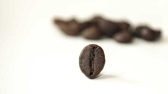 Kahve, Fasulyeler, içki, kafein, siyah, kafe, kahverengi, Kupa, Sıcak, kahvaltı, içecek, aroma, fasulye, kahve çekirdekleri, kavrulmuş, kapatmak, yiyecek ve içecek, insansız, stüdyo çekimi, Gıda, kavrulmuş kahve çekirdeği, Beyaz arkaplan, seçici odak, içeriye, natürmort, eski, siyah renk, kahve içmek, kopya alanı, ön plana odaklanmak, tek nesne, tazelik, 2K, CC0, kamu malı, telif ücretsiz