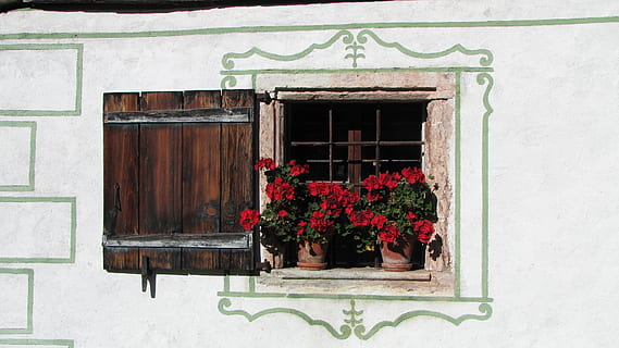 window, flowers, shutter, flower, building exterior, flowering plant, plant, architecture, no people, built structure, house, day, nature, building, window box, outdoors, potted plant, freshness, door, growth, wall - building feature, old, flower pot, window frame, 4K, CC0, public domain, royalty free
