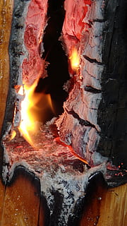 obor pohon, api, suasana hati, api - fenomena alam, suhu panas, pembakaran, perapian, merapatkan, kayu bakar, log, bahan kayu, kayu, alam, tidak ada orang, bersinar, warna oranye, gerakan, dalam ruangan, api unggun, dibakar, 4K, CC0, domain publik, bebas royalti