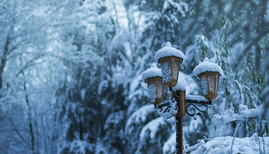 Marrone, metallo, incorniciato, luce del prato, coperto, la neve, alberi, giorno, luce post, luci, lampada, albero, bosco, inverno, temperatura fredda, pianta, nessuno, natura, congelato, concentrarsi sulle conoscenze acquisite, la tranquillità, terra, bellezza nella natura, attrezzatura per l'illuminazione, all'aperto, arte e artigianato, rappresentazione umana, Colore bianco, nevicando, tempo estremo, 5K