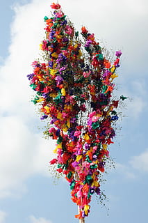 albero di maggio, tradizione, primavera, Dogana, potrebbe, decorato, albero decorato, cielo, betulla, costume, bande, colorato, nastri colorati, Primo Maggio, nuvola - cielo, multicolore, autunno, albero, foglia, pianta, Inquadratura dal basso, modificare, natura, bellezza nella natura, crescita, giorno, nessuno, all'aperto, ramo, la tranquillità, parte vegetale, scenics - natura, fiore, condizione naturale, 4K, CC0, dominio pubblico, privo di copyright