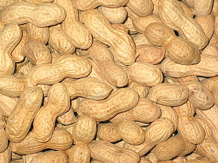 Bündel, braun, Nüsse, Erdnüsse, Weihnachten, Hintergrund, Advent, Weihnachtsdekoration, Nikolaus, Dekoration, Snack, Erdnüsse knacken, Riss, Ferien, Weihnachtsmann, Weihnachtszeit, Weihnachtsmotiv, Fröhliche Weihnachten, Dezember, Heiligabend, Winter, Supermarkt, Lebensmittel, Essen, gesund, Essen und Trinken, Vollbild, große gruppe von gegenständen, Frische, Hintergründe, Nuss, Wohlbefinden, Stillleben, gesundes Essen, Nahansicht, keine Leute, Fülle, drinnen, Nuss - Essen, High Angle View, direkt darüber, Obst, zu verkaufen, 1080P, CC0, gemeinfrei, lizenzfrei