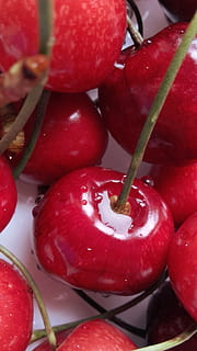 Kirsche, Kirschen, Obst, Essen, Obstanbau, traurig, gesund, rote Früchte, rot, Lebensmittel, gesundes Essen, Essen und Trinken, Frische, Wohlbefinden, Gemüse, Nahansicht, keine Leute, Pflanzenstamm, reif, Stillleben, organisch, Hintergründe, Pflanze, saftig, drinnen, High Angle View, 2K, CC0, gemeinfrei, lizenzfrei