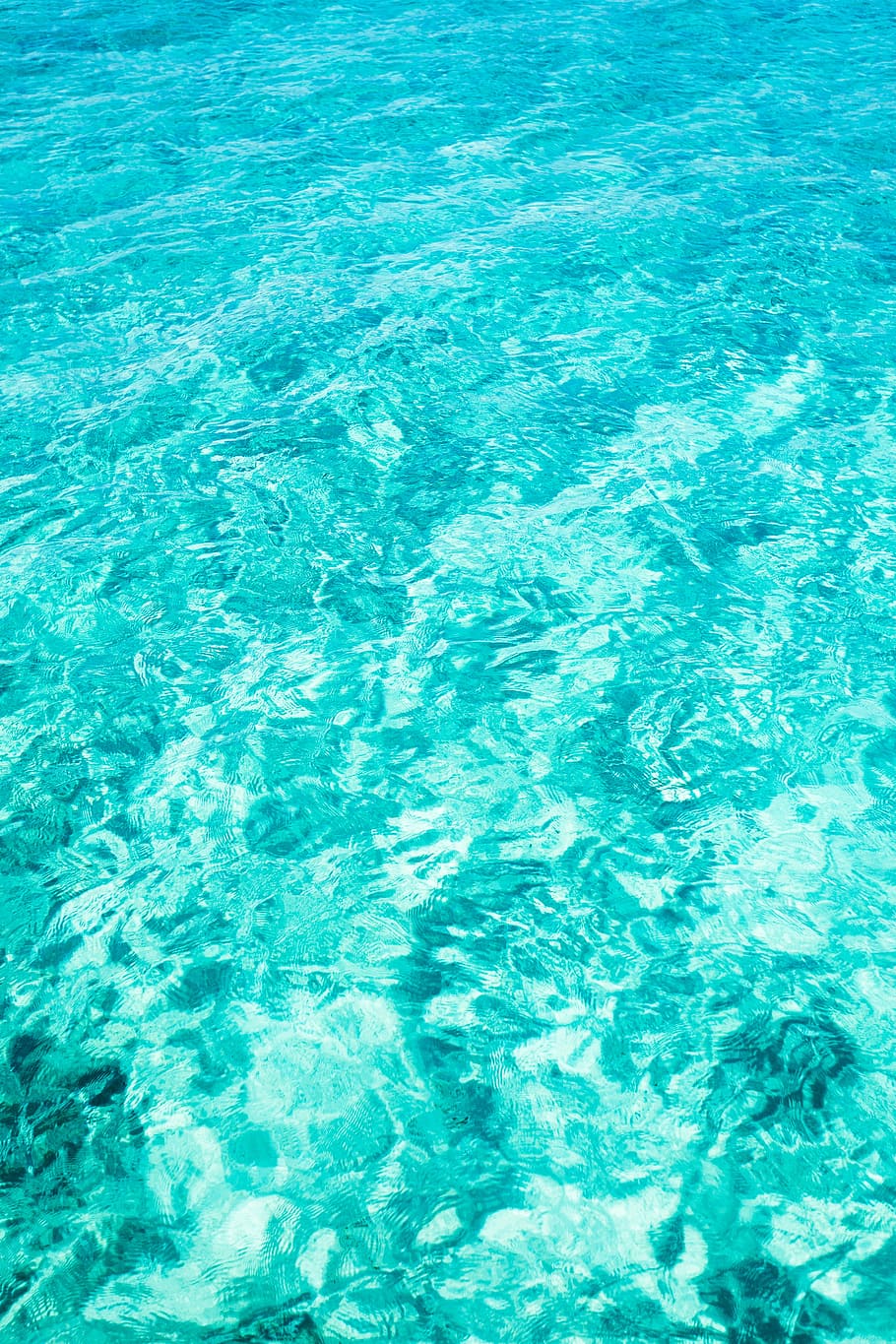 cos d'aigua, resum, fons, brillant, netejar, clar, disseny, llum, patró, piscina, superfície, textura, turquesa, sota l'aigua, fons de pantalla, aigua, humit, marc complet, ondulat, blau, cap gent, vista d’angle alt, reflexió, dia, color turquesa, mar, naturalesa, davant del mar, bellesa a la natura, a l'aire lliure, moviment, tranquil·litat, frescor, puresa, 5K
