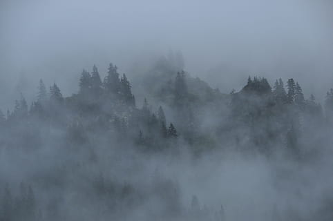rūkas kalnas, rūkas, debesys, kalnai, miškas, pobūdį, kraštovaizdį, mistinis, mįslingas, atmosferos, Alpių, Austrijoje, vorarlberg, montafonas, netgi, medžiai, romantiškas, nuotaika, medis, grožis gamtoje, ramybė, ramioje scenoje, vaizdai - gamta, augalų, nėra žmonių, dangus, ne miesto scenoje, aplinką, kalnas, žemės, dieną, šalta temperatūra, idiliškas, lauke, miglotas, klimatas, spygliuočių medis, 4K, CC0, Viešasis domenas, nemokamai