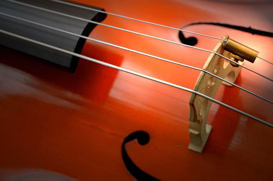 braune Geige, Cello, Streicher, Saiteninstrument, Holz, Instrument, klassische Musik, Musikinstrument, braun, klassisch, Soundbody, akustisch, klingen, Musik-, Kunst, Kultur und Unterhaltung, Musikausrüstung, Geige, Musikinstrumentensaite, Holz - Material, Zeichenfolge, keine Leute, Performance, Veranstaltung für darstellende Künste, Schatten, Bogenmusikausrüstung, farbiger Hintergrund, Nahansicht, Gitarre, einzelnes Objekt, klassischer Stil, 2K