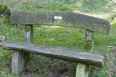 bank, idyllic, forest, spring, romantic, hiking, relaxation, silent, plant, wood - material, day, no people, green color, land, field, bench, nature, seat, growth, grass, outdoors, old, tree, tranquility, close-up, wood, high angle view, metal, park bench, wheel, 5K, CC0, public domain, royalty free