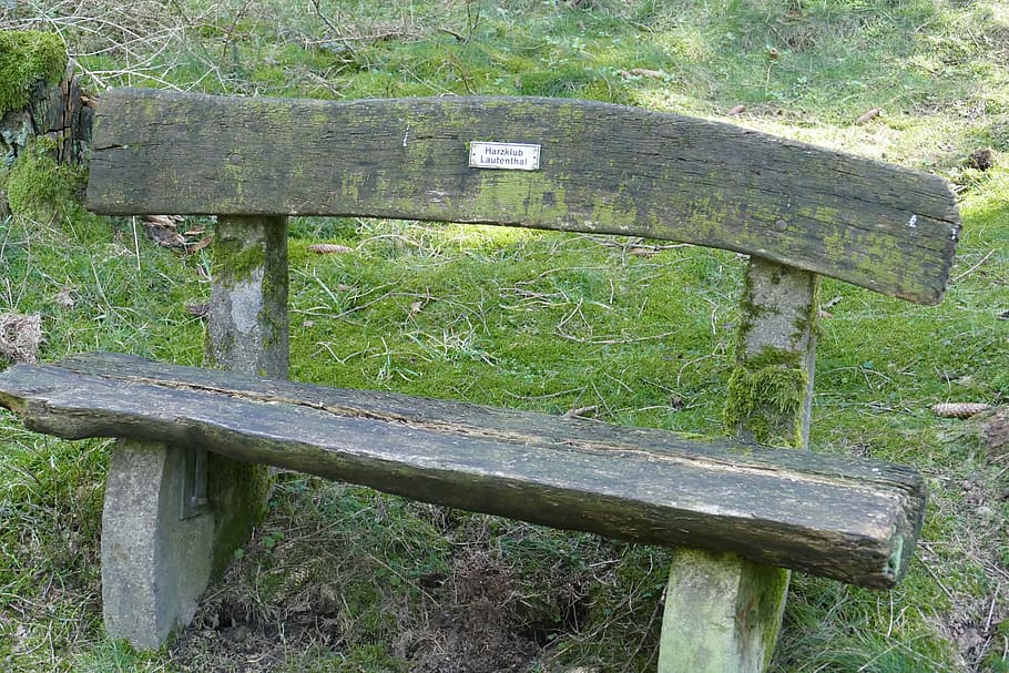 bank, idyllic, forest, spring, romantic, hiking, relaxation, silent, plant, wood - material, day, no people, green color, land, field, bench, nature, seat, growth, grass, outdoors, old, tree, tranquility, close-up, wood, high angle view, metal, park bench, wheel, 5K