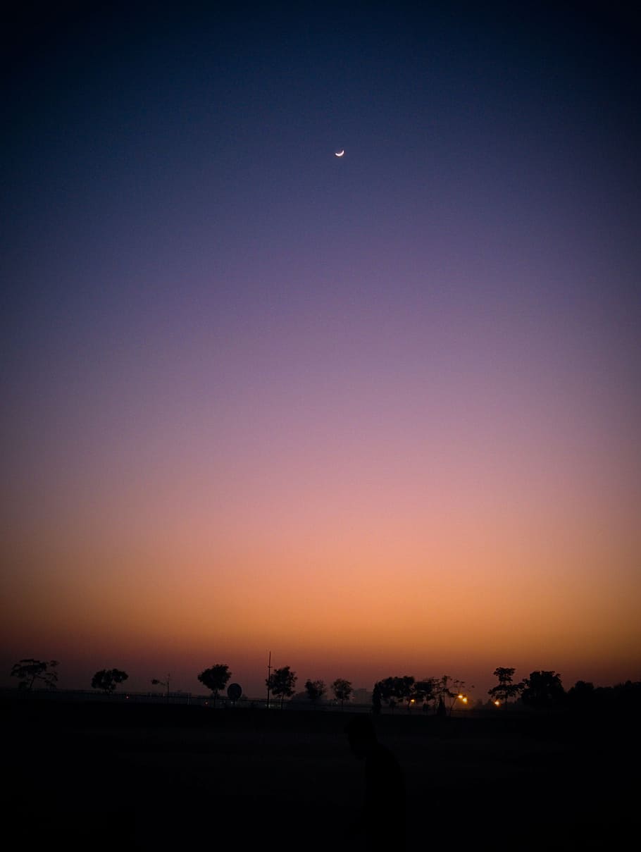 fosc, alba, vespre, tarda, nit de la lluna, paisatge, lluna, a l'aire lliure, quart de lluna, silueta, posta de sol, arbres, cel, nit, escenics - natura, bellesa a la natura, escena tranquil·la, tranquil·litat, naturalesa, cap gent, medi ambient, creixent, còpia espai, planta, arbre, cel clar, color taronja, lluna plena, 2K
