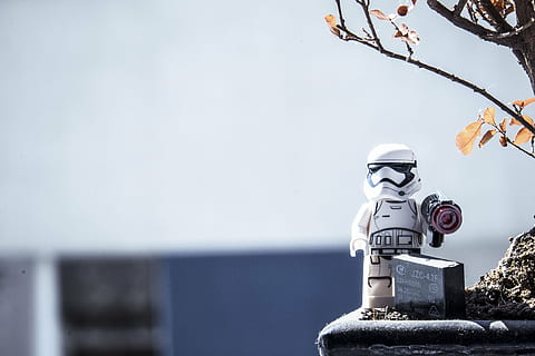 shallow, focus photography, storm trooper figure toy, robot, modern, technology, science, toy, outside, tree, flower, plant, human representation, no people, day, outdoors, close-up, winter, representation, cold temperature, nature, male likeness, copy space, snow, protection, security, focus on foreground, white color, art and craft, architecture, 4K, CC0, public domain, royalty free