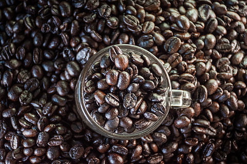 kaffe, kaffebønne, processen, drik, lækker, sød, om morgenen, mild, slap af, mælk, boble, duftende, smuk, kop, udsigtspunkt, kunst, drikke, kaffekrus, frøet, baggrund, kaffe - drikke, ristet kaffebønne, mad og drikke, mad, stor gruppe af objekter, friskhed, Brun, overflod, koffein, ristede, indendørs, stilleben, forfriskning, tæt på, ingen mennesker, høj vinkel visning, kaffekop, 5K, CC0, offentligt domæne, royaltyfrie