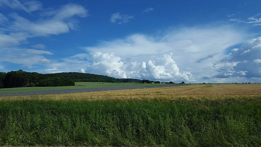 natur, Mark, træ, sol, Himmelblå, himmel, blå, gå, jord, landbrug, drage nytte af, Nyd livet, godt humør, landskab, skønhed i naturen, scenics, rolig scene, ro, sky - himmel, scenics - natur, miljø, plante, græs, dag, ingen mennesker, grøn farve, landlige scene, vækst, ikke-urbane scene, udendørs, 5K