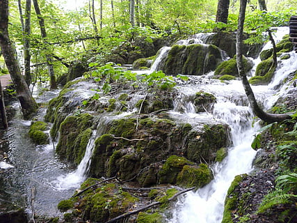 vodopád, Příroda, chorvatsko, tok, les, kámen, vod, plitvická jezera, voda, mech, scén, strom, krása v přírodě, přistát, rostlina, scenics - příroda, tekoucí voda, pohyb, pevný, Skála, rock - objekt, nikdo, dlouhé expozice, mimoměstské scény, klid, venku, tekoucí, deštný prales, padající voda, 2K, CC0, veřejná doména, bez autorských práv