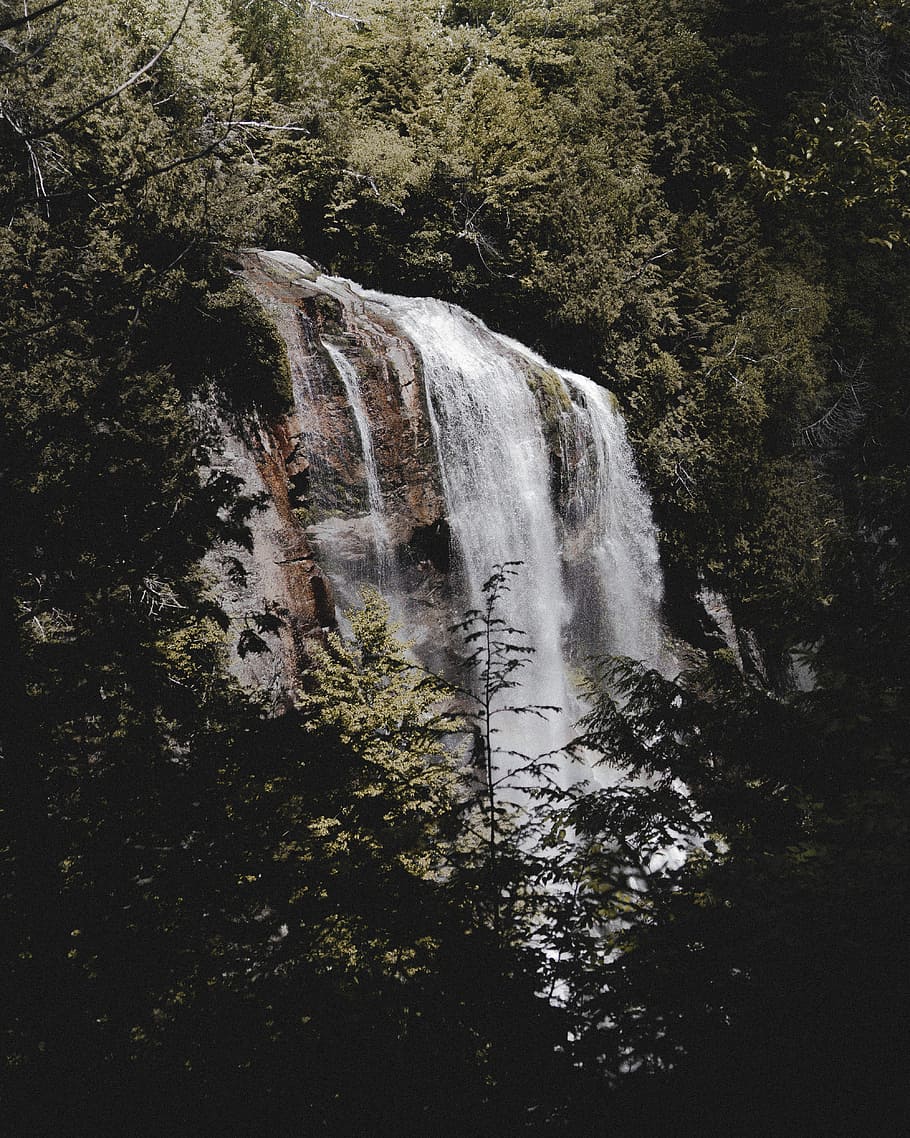 le cascate circondavano gli alberi, cascate, dietro a, verde, alberi, cascata, acqua, roccia, albero, foresta, bellezza nella natura, movimento, scenics - natura, acqua corrente, pianta, lunga esposizione, terra, natura, nessuno, movimento sfocato, crescita, ambiente, fluente, giorno, potere in natura, all'aperto, foresta pluviale, acqua che cade, formazione, 4K