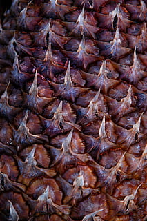 piña, pelar, modelo, paisaje, comida y bebida, antecedentes, fotograma completo, frescura, comida, mercado, de cerca, abundancia, nadie, Al por menor, gran grupo de objetos, Mariscos, en venta, naturaleza muerta, animal, alimentos crudos, bienestar, alimentación saludable, pez, exhibición al por menor, 2K, CC0, dominio público, libre de derechos