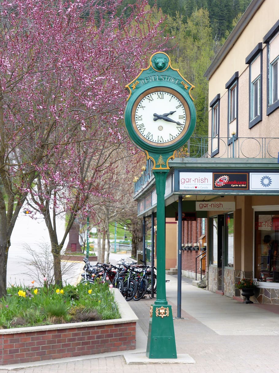 orologio, tempo, puntatori, retrò, vecchio stile, vecchio orologio, pianta, architettura, struttura costruita, albero, esterno dell'edificio, fiore, natura, pianta fiorita, fiore di ciliegio, città, bellezza nella natura, comunicazione, primavera, fiorire, giorno, crescita, costruzione, nessuno, all'aperto, ciliegio, 4K