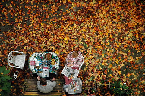dos, persona, assegut, cadires, aèria, fotografia, home, dona, banc, marró, full, cobert, pis, home i dona, lectura de dona, paper de notícies, tardor, caure, despeses generals, vista del drone, vista aèria, a l'aire lliure, vermell, canvi, gran grup d'objectes, abundància, moneda de paper, multicolor, naturalesa, dia, cap gent, contenidor, part de la planta, vista d’angle alt, bossa, col · lecció, bellesa a la natura, cistella, natura morta, Munt, moneda, motiu floral, 2K, CC0, domini públic, lliure de regalies