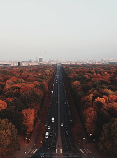 høst, berlin, by, falle, tåkete, grå himmel, skyline, gate, Tiergarten, transport, trafikk, himmel, vei, transportmiddel, natur, høy vinkel visning, ingen folk, dag, retning, bil, tre, arkitektur, motorkjøretøy, veien forover, klar himmel, anlegg, hovedvei, land kjøretøy, merking, synkende perspektiv, utendørs, flere kjørebaner, 1080P, CC0, offentlig domene, opphavsrett gratis