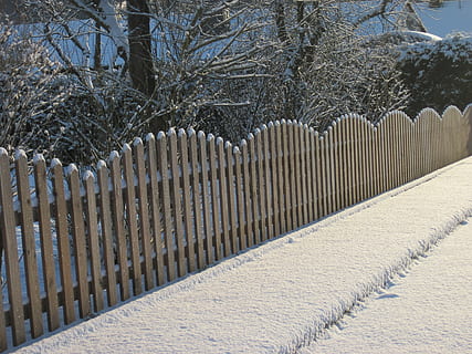 hegn, sne, vinter, kold, træ, snedækket, frost, hvid, vinter magi, have hegn, vinterindtryk, grænse, barriere, plante, ingen mennesker, sikkerhed, beskyttelse, dag, natur, arkitektur, udendørs, sollys, stakit, sti, bare træ, bygget struktur, i en række, 4K, CC0, offentligt domæne, royaltyfrie