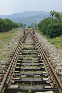 train rail, milieu, des arbres, sillon de train, carrefour, train, le sillon, chemin de fer, Transport ferroviaire, transport, arbre, journée, la voie à suivre, Piste, plante, direction, métal, la nature, personne, perspective décroissante, Point de fuite, cravate de chemin de fer, ciel, Montagne, croissance, terre, en plein air, gravier, longue, parallèle, 2K, CC0, domaine public, libre de droits