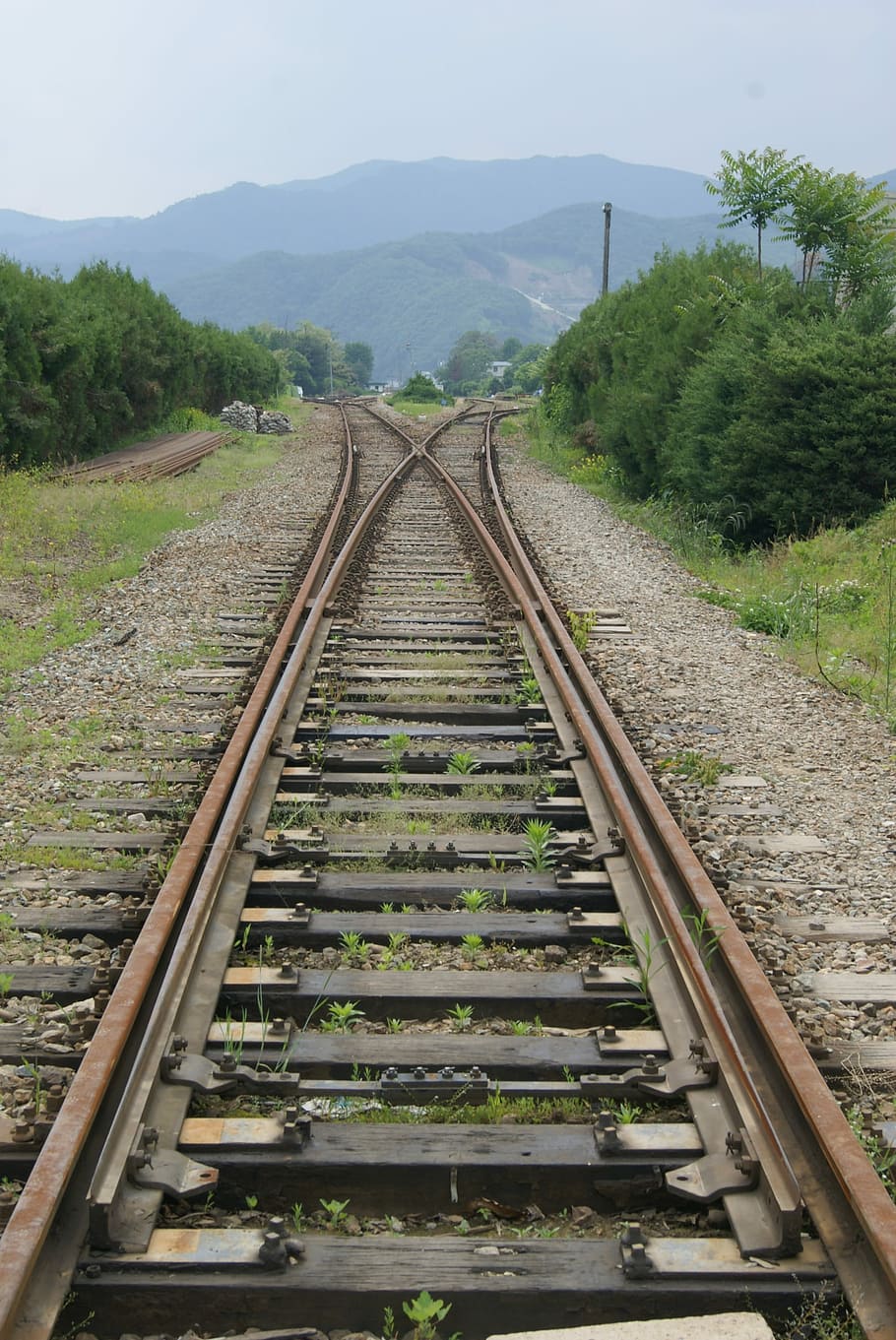 vlaku, střední, stromy, vlaková trasa, rozcestí, vlak, vlakové trasy, železniční trať, železniční dopravy, přeprava, strom, den, cesta vpřed, dráha, rostlina, směr, kov, Příroda, nikdo, perspektiva, bod zmizení, železniční kravata, nebe, hora, růst, přistát, venku, štěrk, dlouho, paralelní, 2K