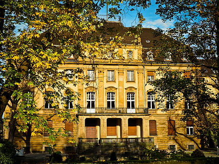 casa, casa antiga, arquitectura, vell, cases antigues, edifici, barri antic, edifici antic, històricament, façana, construcció de gres, ciutat, urbà, arbre, exterior de l'edifici, finestra, estructura construïda, història, planta, naturalesa, dia, el passat, cap gent, creixement, destinacions de viatge, a l'aire lliure, cel, groc, llum solar, columna arquitectònica, 4K, CC0, domini públic, lliure de regalies
