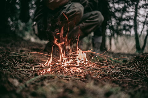 shallow, focus, flaming, fire, selective, focus photography, person, outdoor, forest fire, camp fire, flame, burn, nature, forest, dark, brush, wood, tree, summer, 4k, passion, fakk, outside, forestery, work, land, burning, fire - natural phenomenon, heat - temperature, plant, log, bonfire, woodland, wood - material, selective focus, motion, outdoors, day, field, campfire, surface level, 5K, CC0, public domain, royalty free