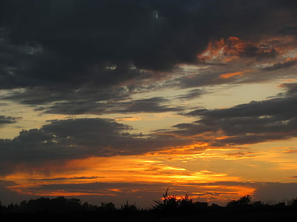 solnedgang, skyer, orange, horisont, himmel, udendørs, naturlig, sol, himlen skyer, dramatisk himmel, silhuet, scenics, natur, skønhed i naturen, sky - himmel, scenics - natur, rolig scene, ro, orange farve, idyllisk, ingen mennesker, landskab, træ, ikke-urbane scene, miljø, ærefrygt, plante, 1080P, CC0, offentligt domæne, royaltyfrie