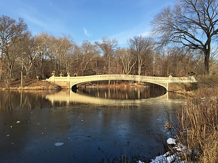 ponte, lago, albero, parco, New York, Parco centrale, acqua, ponte - struttura fatta dall'uomo, connessione, pianta, albero nudo, architettura, struttura costruita, riflessione, natura, giorno, nessuno, cielo, ponte ad arco, arco, mezzi di trasporto, all'aperto, 2K, CC0, dominio pubblico, privo di copyright