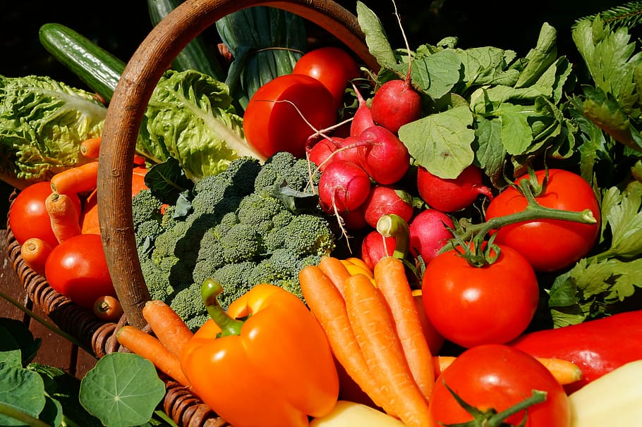 assortit de verdures de colors i estampats, verdures, vegetarià, tomàquets, menjar, vitamines, vegà, mercat de verdures, jardí, nutrició, frisch, bio, mercat local dels agricultors, Raves, comercialitzar verdures fresques, pastanagues, saludable, vegetals, menjar i beguda, alimentació saludable, benestar, frescor, arrel vegetal, tomàquet, pastanaga, fruita, vermell, aliments crus, elecció, variació, cap gent, orgànic, pebre, color verd, natura morta, gran grup d'objectes, madur, 5K