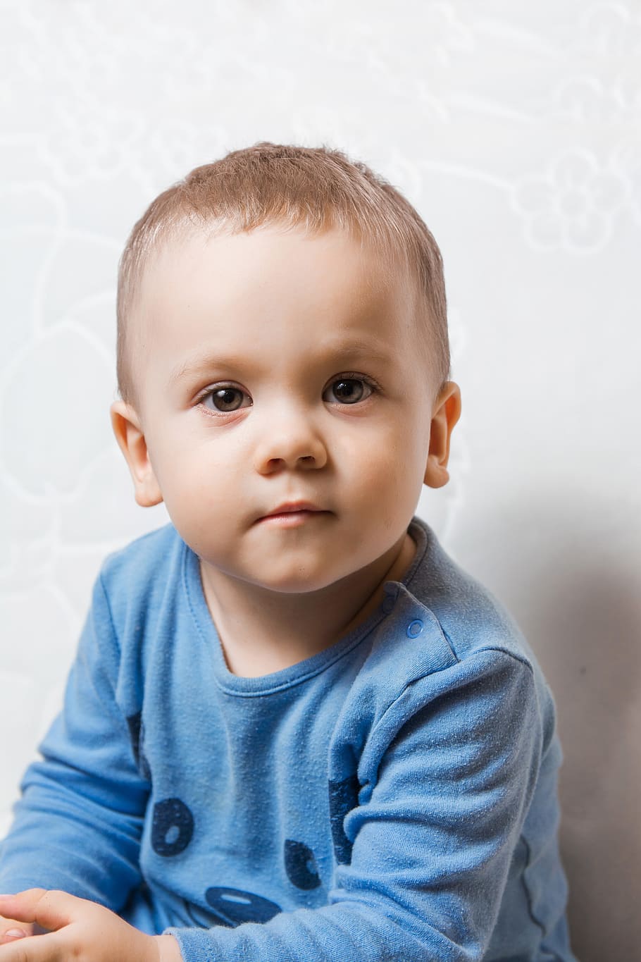Junge, tragen, Blau, Rundhalsausschnitt, langärmelig, Hemd, Kind, Porträt, wunderschönen, kleines Kind, Kindheit, Aussicht, Person, Gedanken, Nahansicht, Baby, Augen, Schönheit, süß, Unschuld, eine Person, Kamera betrachten, echte Menschen, drinnen, Vorderansicht, Kleinkind, jung, Lebensstile, Jungs, Männer, Kopfschuss, 5K