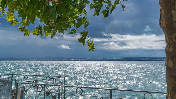 lake constance, framover, se, vann, himmel, sky - himmel, hav, natur, skjønnhet i naturen, rekkverk, arkitektur, bygget struktur, tre, horisont, naturskjønnhet - natur, dag, horisont over vann, ro, anlegg, ingen folk, rolig scene, bygge eksteriør, utendørs, 8K, CC0, offentlig domene, opphavsrett gratis