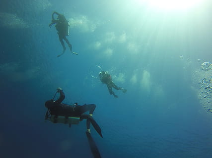 Scuba Diving, Ocean, diving, scuba, water, underwater, sea, diver, reef, tropical, blue, marine, bubble rigs, travel, vacation, turquoise, paradise, landscape, underwater Diving, diving Into Water, deep-Sea Diving, diving Equipment, nature, deep, animal, babeldaob Island, adventure, sea Life, aqualung - Diving Equipment, sport, undersea, exploration, swimming, aquatic sport, unrecognizable person, leisure activity, diving flipper, men, group of people, real people, people, diving suit, 4K, CC0, public domain, royalty free