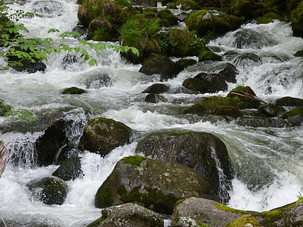 water, rivier-, stroom, waterlopen, natuur, de lente, cascade, schoonheid in de natuur, beweging, scenics - natuur, rots, rock - object, solide, waterval, stromend water, geen mensen, land-, lange blootstelling, dag, fabriek, niet-stedelijke scène, milieu, spatten, buitenshuis, vloeiende, stroom - stromend water, kracht in de natuur, 4K, CC0, publiek domein, royaltyvrij