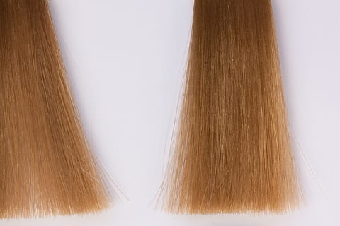 blonde haare, Haar, Muster, Farbmuster, Farbe, Struktur, Textur, Frau, Friseur, Hellbraun, Studioaufnahme, drinnen, Nahansicht, Holz - Material, keine Leute, weißer Hintergrund, braun, diy, texturiert, Einfachheit, extreme Nahaufnahme, Schönheit, Hintergründe, Kreativität, Wahl, Holz, gesunder Lebensstil, Variation, Frisur, 4K, CC0, gemeinfrei, lizenzfrei