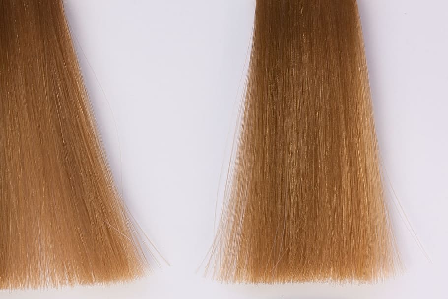 blonde haare, Haar, Muster, Farbmuster, Farbe, Struktur, Textur, Frau, Friseur, Hellbraun, Studioaufnahme, drinnen, Nahansicht, Holz - Material, keine Leute, weißer Hintergrund, braun, diy, texturiert, Einfachheit, extreme Nahaufnahme, Schönheit, Hintergründe, Kreativität, Wahl, Holz, gesunder Lebensstil, Variation, Frisur, 4K