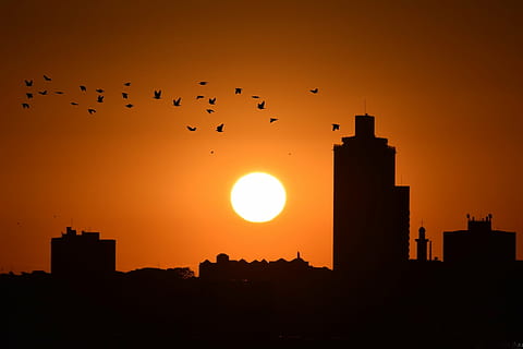 sol, solnedgang, by, Eventide, solnedgang by, mod lys, bygning, silhuet, bygget struktur, arkitektur, bygning udvendig, fugl, hvirveldyr, himmel, dyre temaer, orange farve, dyr, dyr i naturen, dyreliv, stor gruppe dyr, flyvende, gruppe af dyr, natur, ingen mennesker, udendørs, flok af fugle, bybilledet, skyskraber, kontorbygning udvendig, 1080P, CC0, offentligt domæne, royaltyfrie
