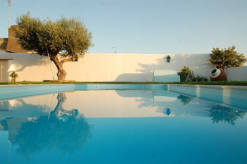 træ, svømning, pool, svømmepøl, vand, afspejling, oliven, sommer, solrig, himmel, lys, Portugal, hvid, væg, dag, udendørs, alentejo, hus, plante, natur, ingen mennesker, blå, havnefronten, arkitektur, skønhed i naturen, skyfri himmel, rolig scene, ro, bygget struktur, luksus, 2K, CC0, offentligt domæne, royaltyfrie